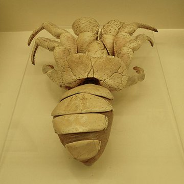 Musée zoologique de la ville de Strasbourg