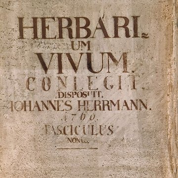 Musée zoologique de la ville de Strasbourg