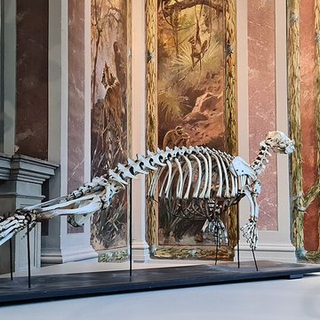 Musée zoologique de la ville de Strasbourg