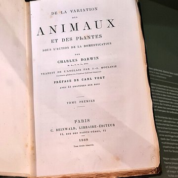 Musée zoologique de la ville de Strasbourg