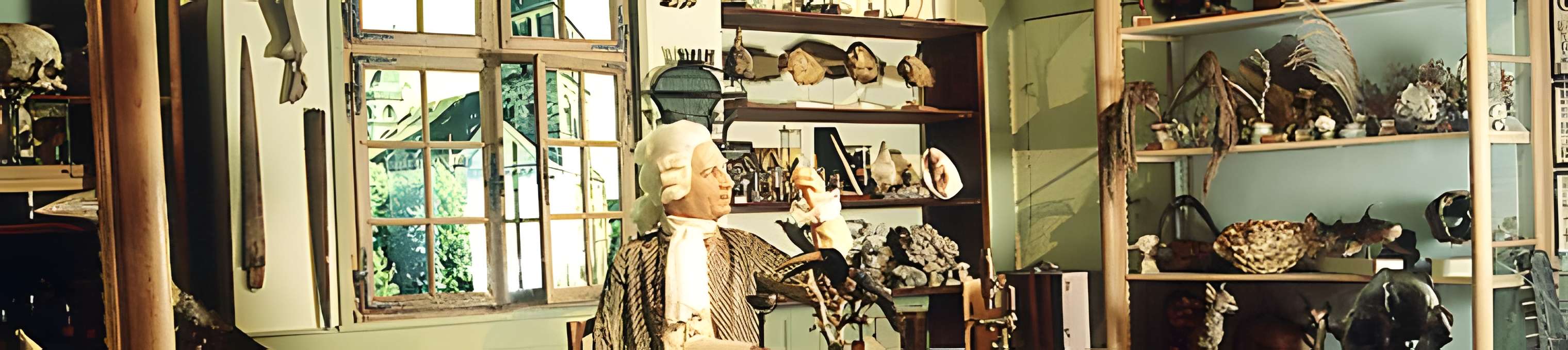 Musée zoologique de la ville de Strasbourg 