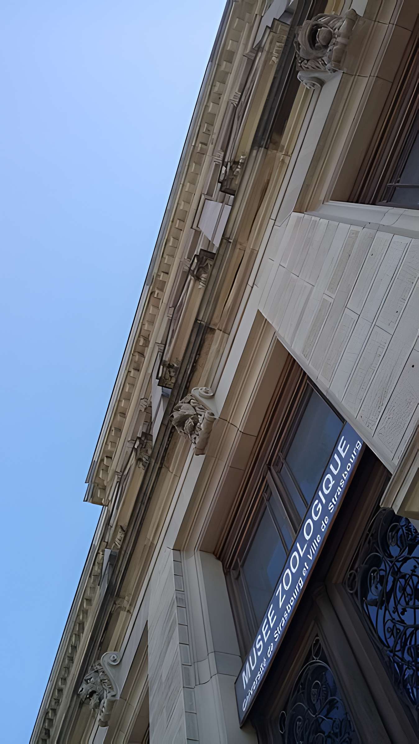 Musée zoologique de la ville de Strasbourg