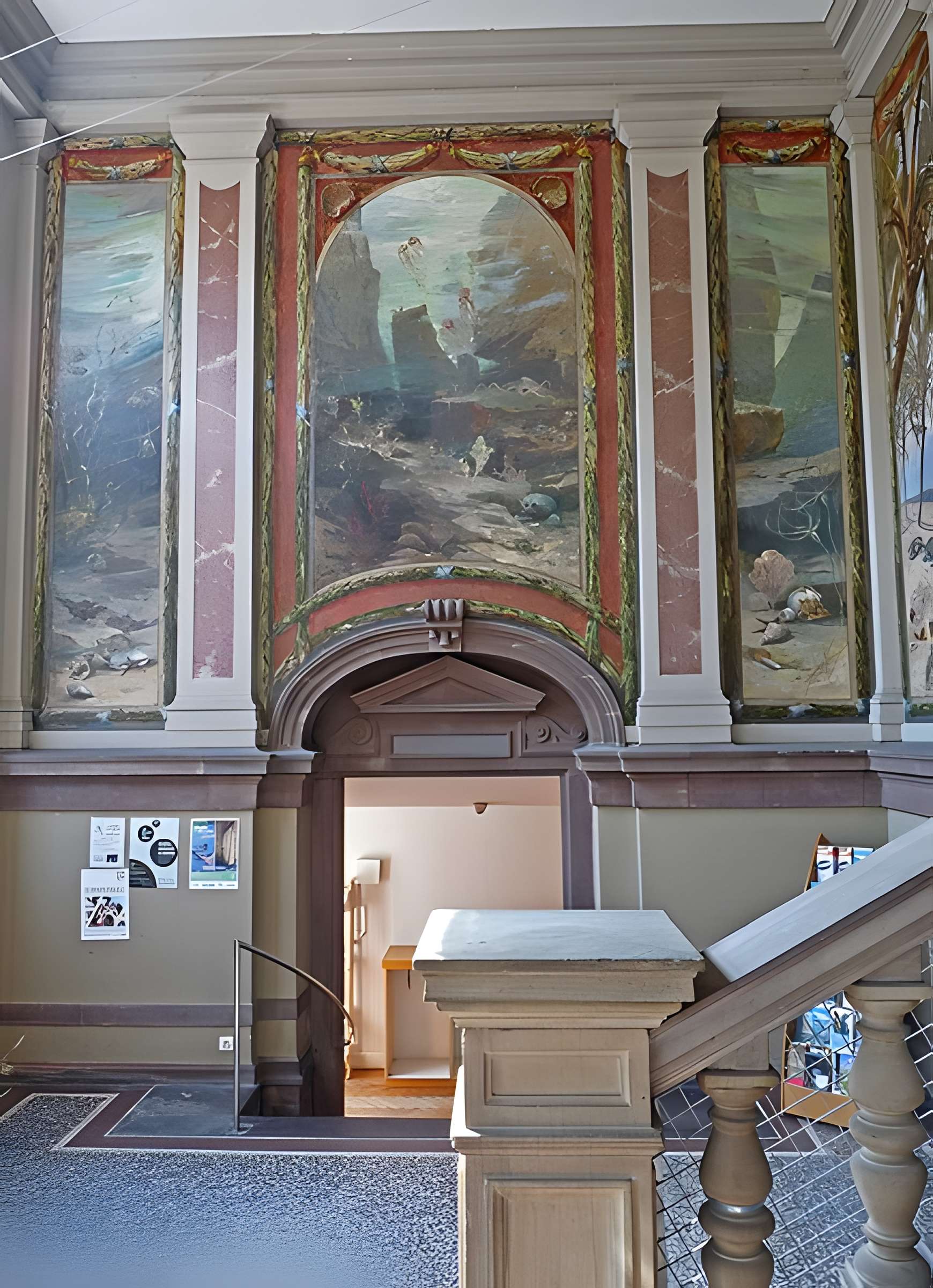 Musée zoologique de la ville de Strasbourg