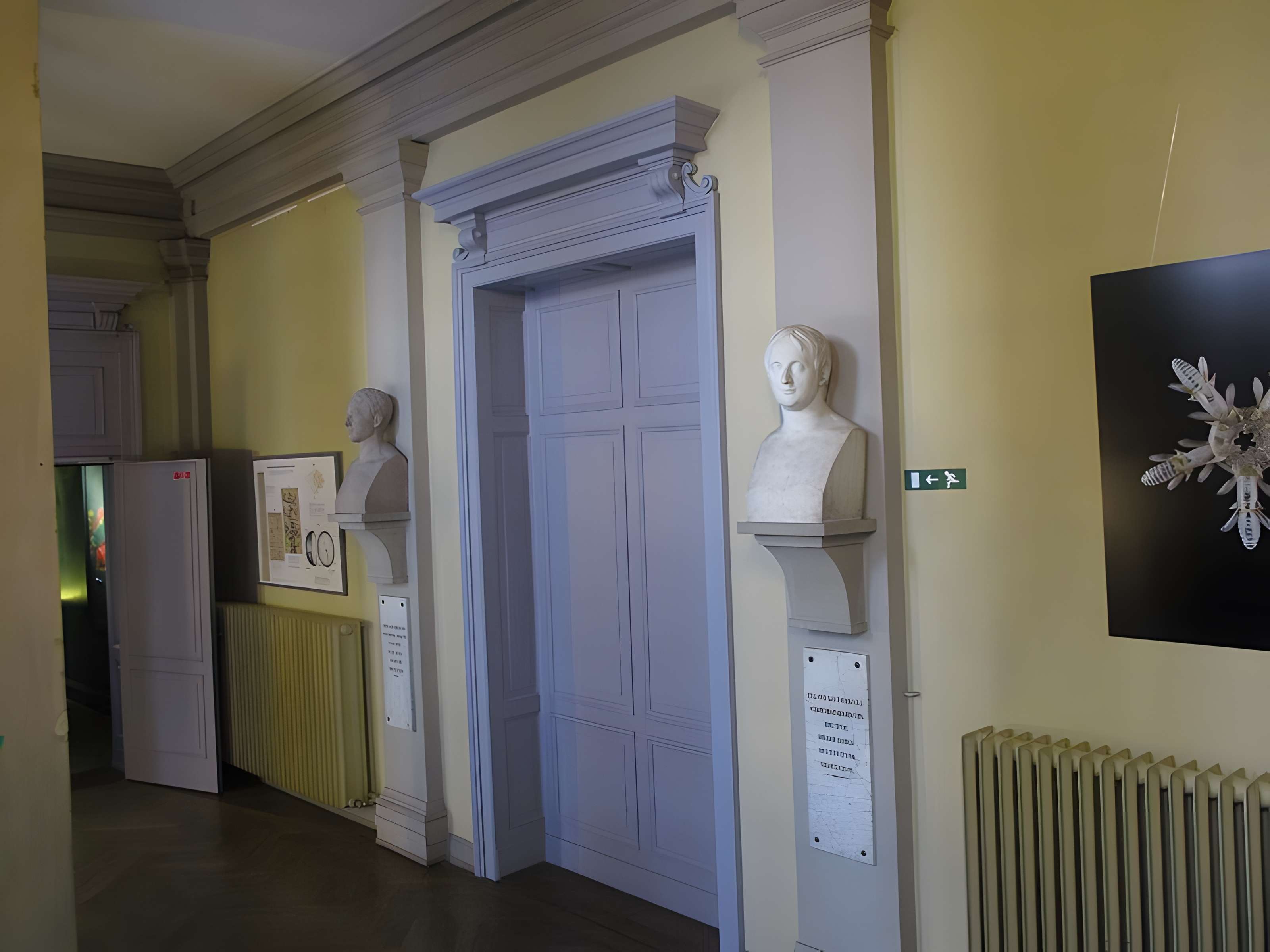 Musée zoologique de la ville de Strasbourg