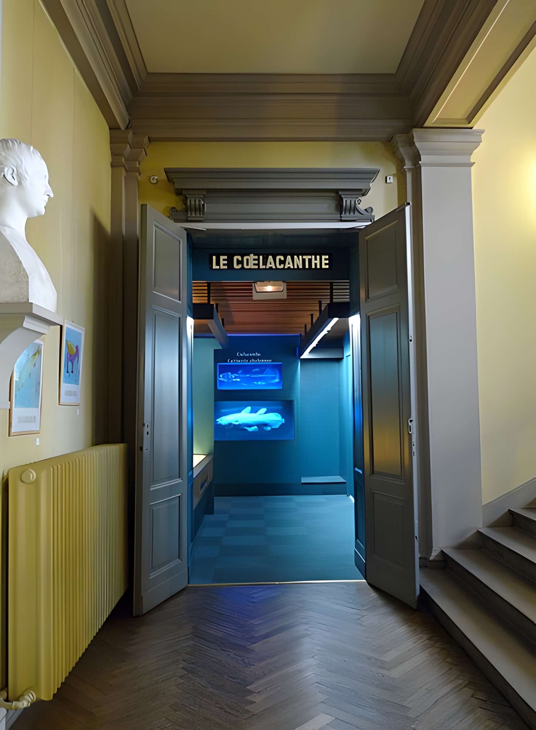 Musée zoologique de la ville de Strasbourg