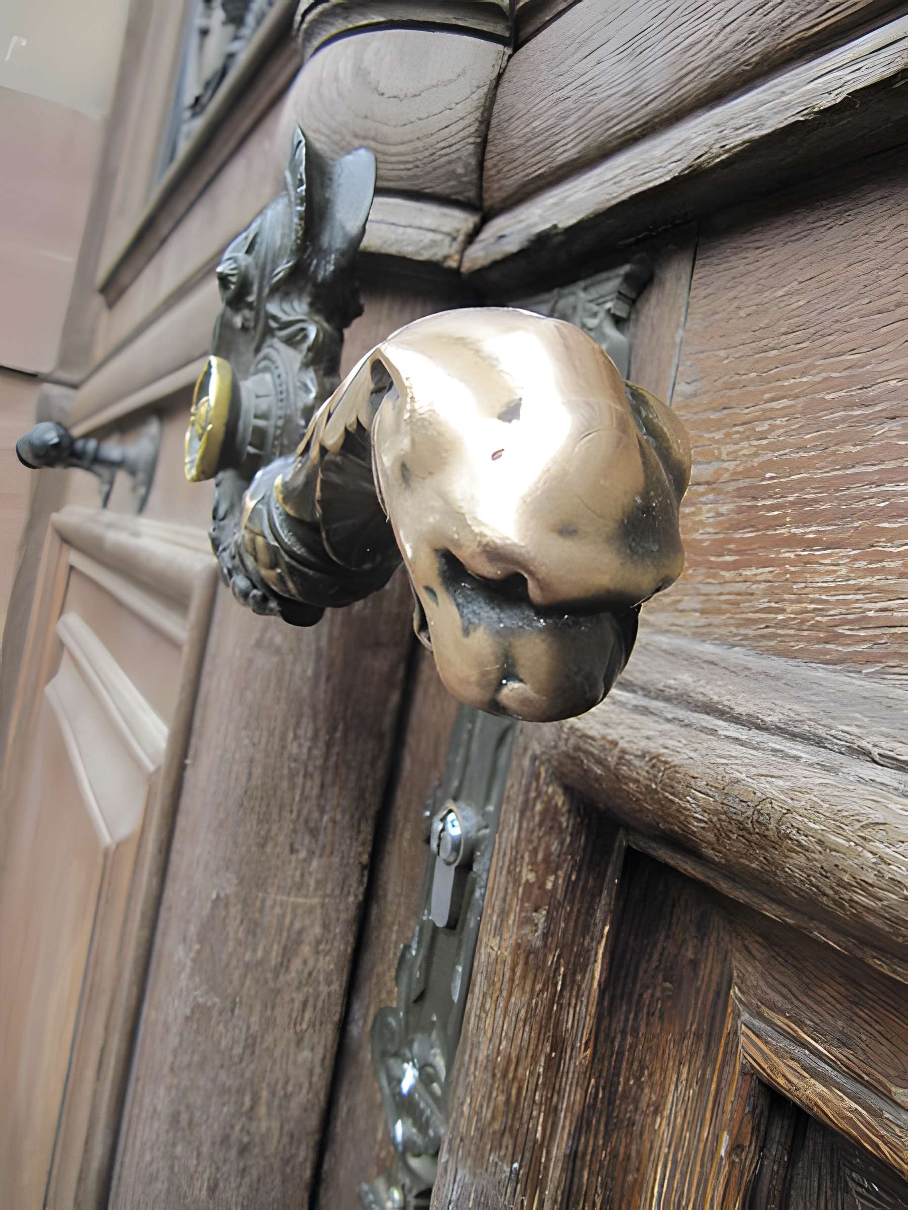 Musée zoologique de la ville de Strasbourg