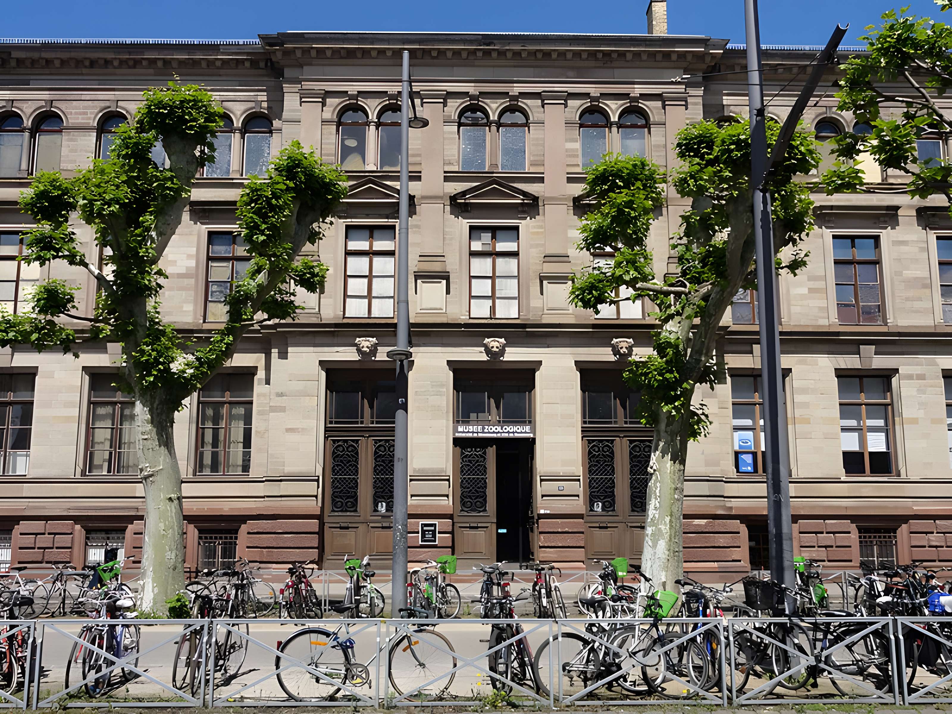 Musée zoologique de la ville de Strasbourg