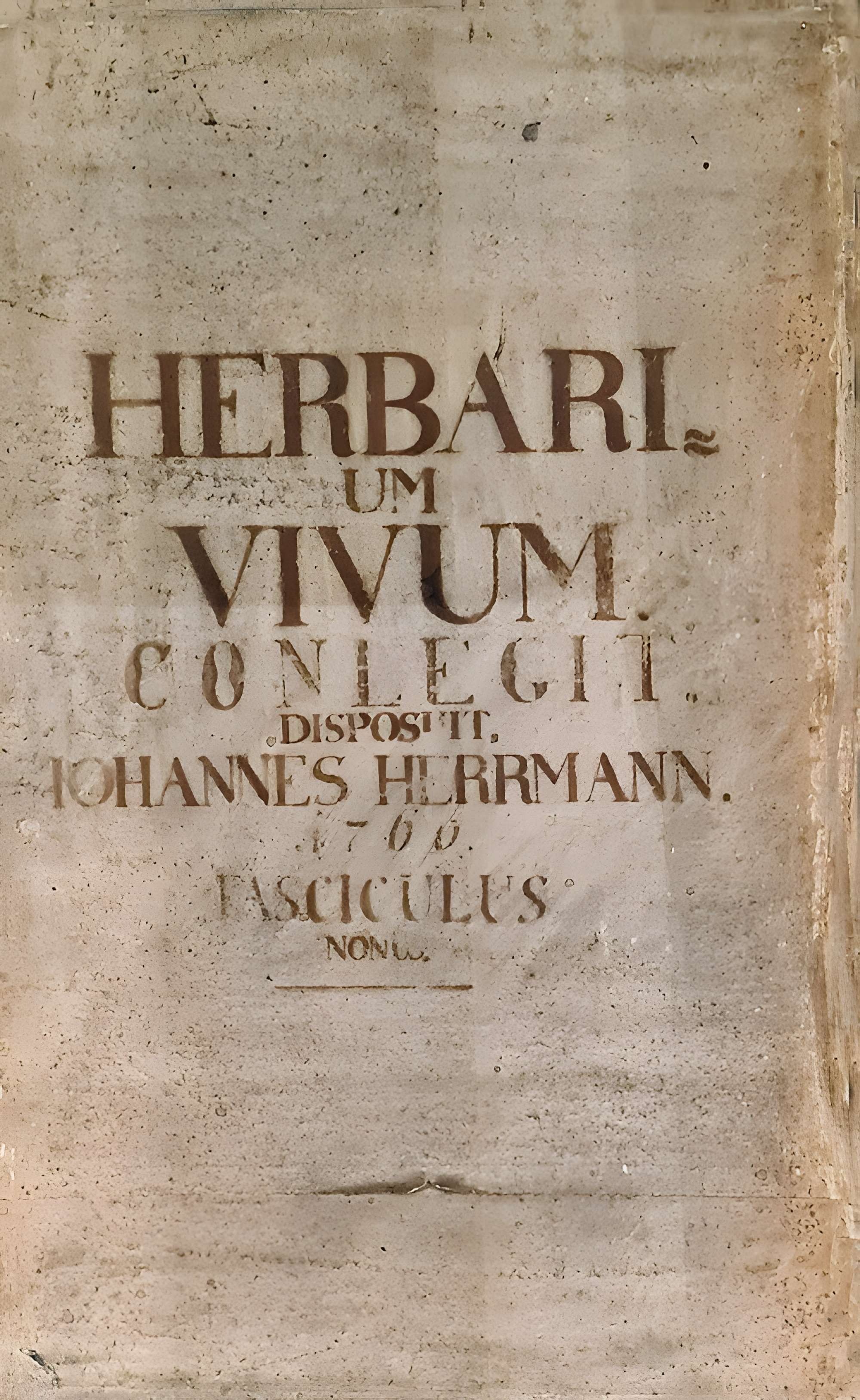 Musée zoologique de la ville de Strasbourg