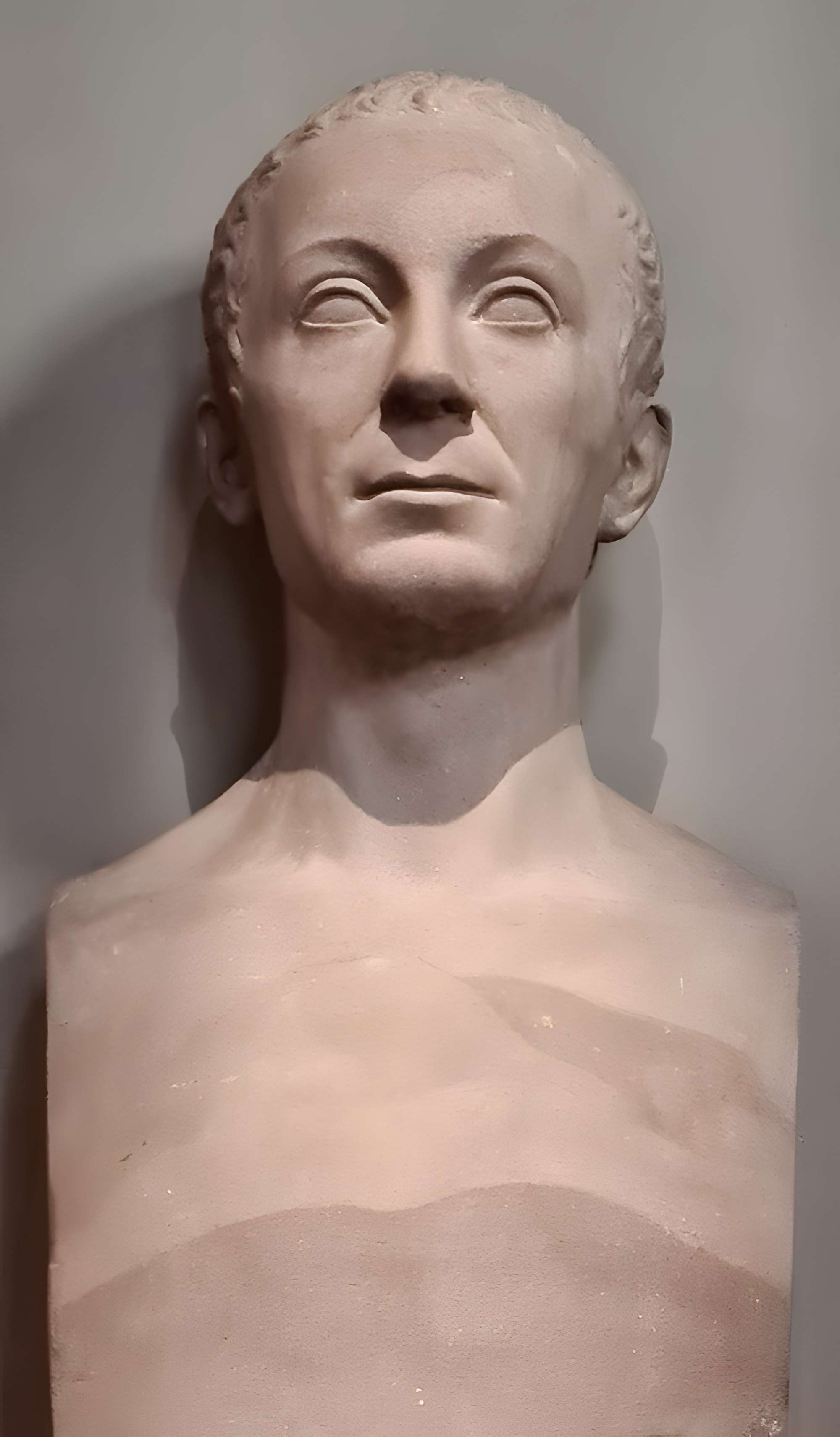 Musée zoologique de la ville de Strasbourg