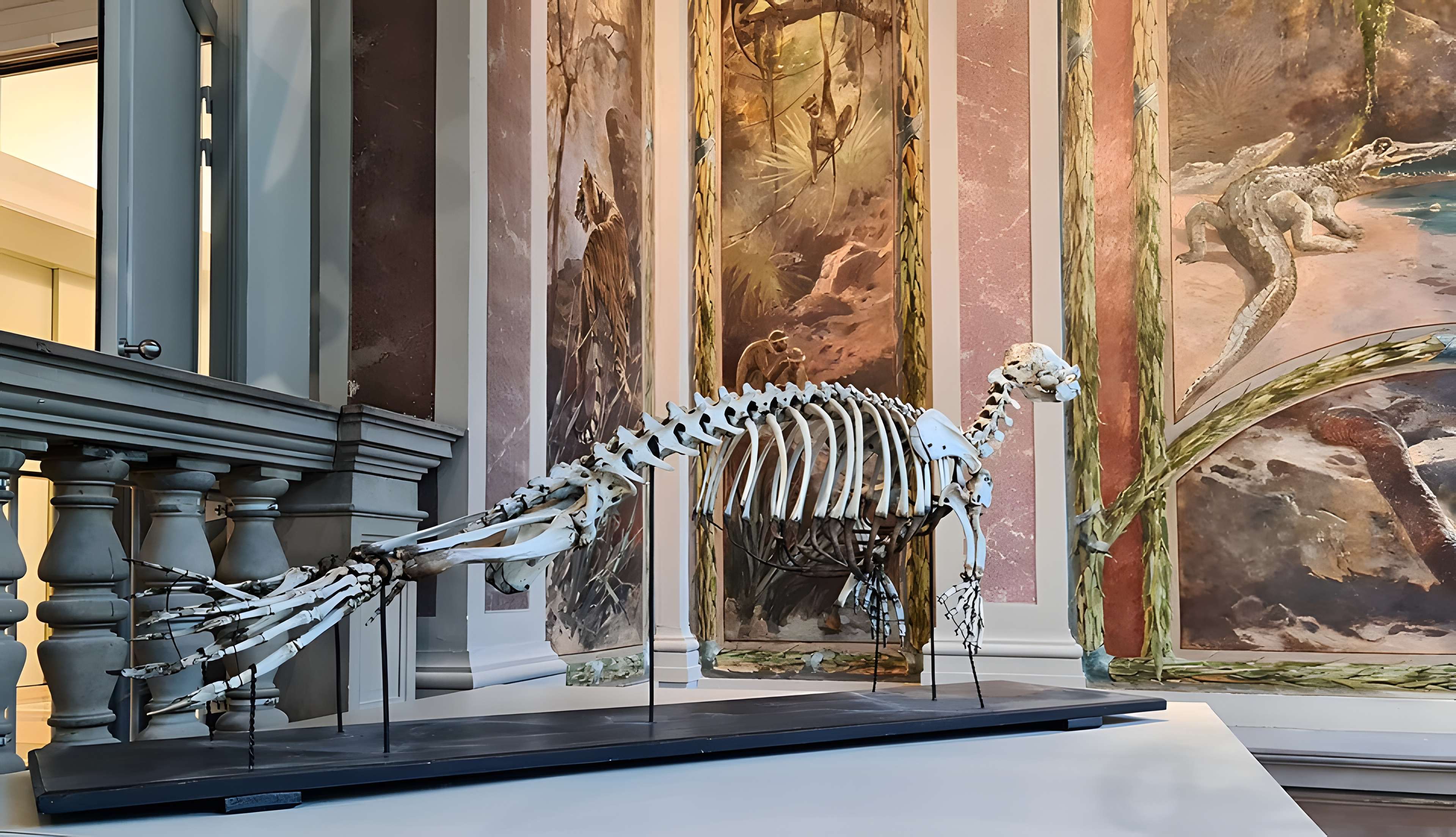 Musée zoologique de la ville de Strasbourg