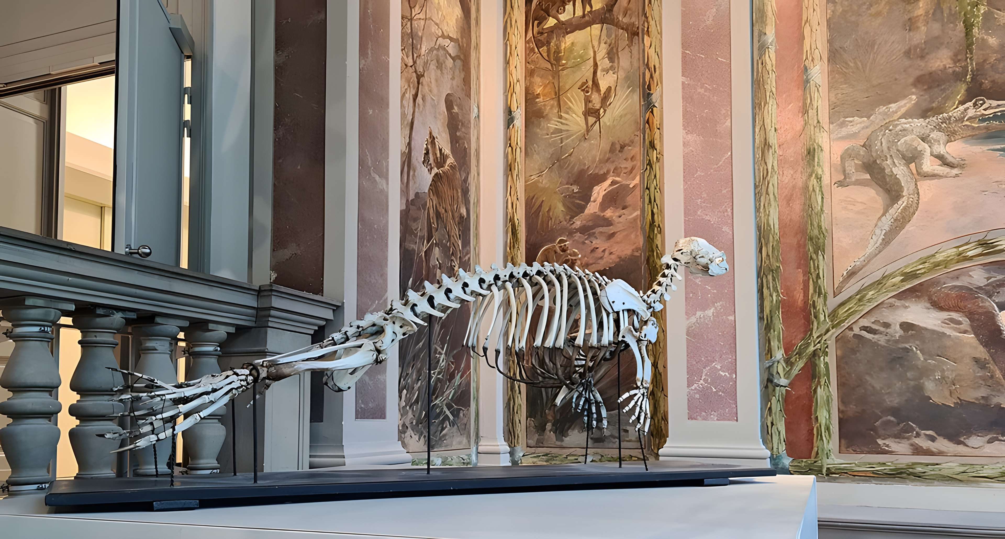 Musée zoologique de la ville de Strasbourg