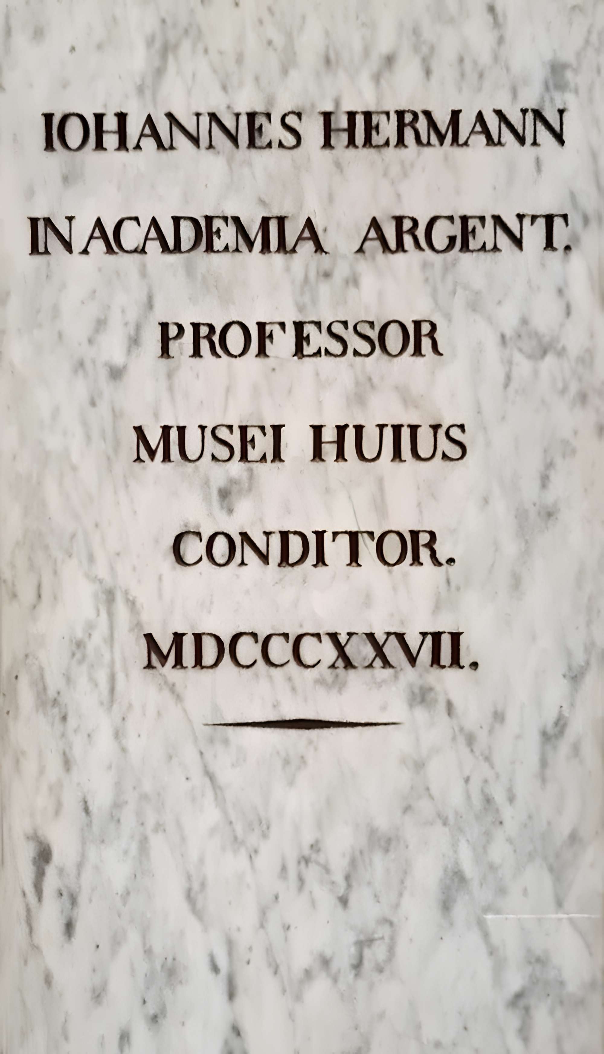 Musée zoologique de la ville de Strasbourg