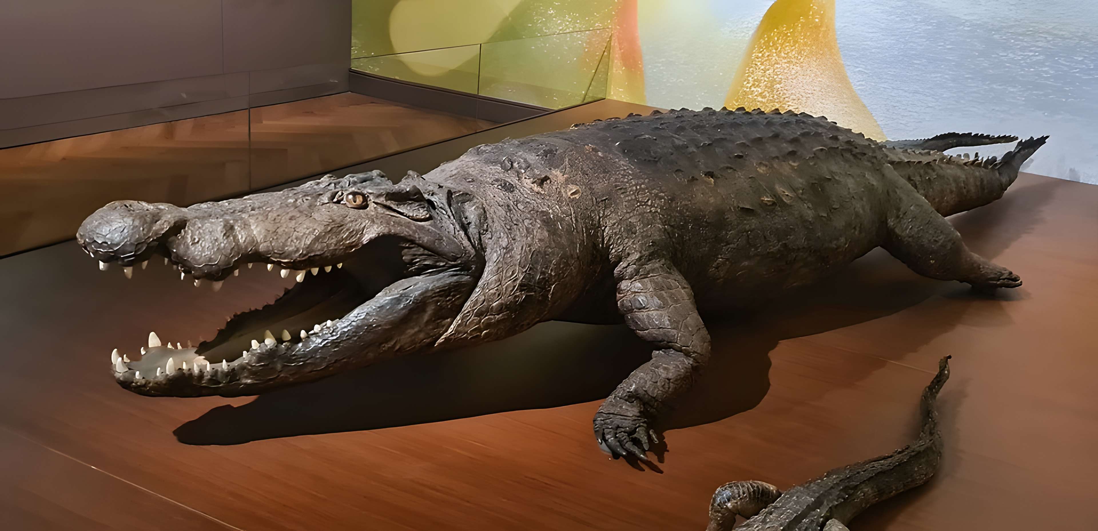 Musée zoologique de la ville de Strasbourg