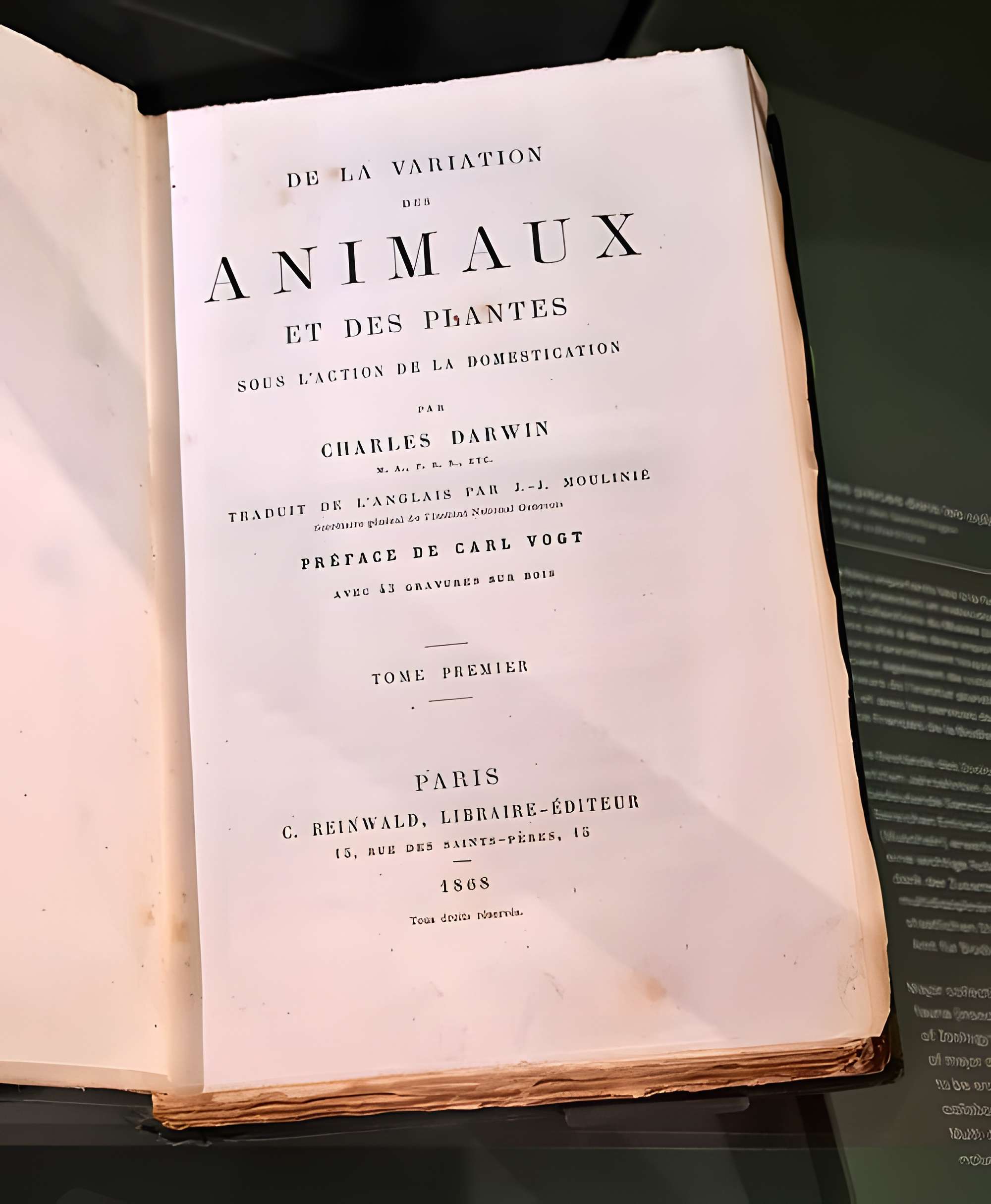 Musée zoologique de la ville de Strasbourg