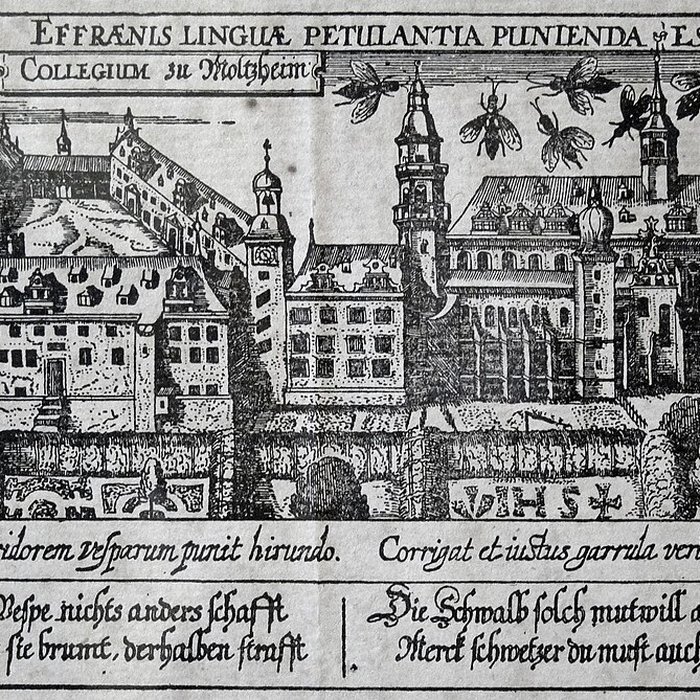 Photo de Musée de la Chartreuse de Molsheim