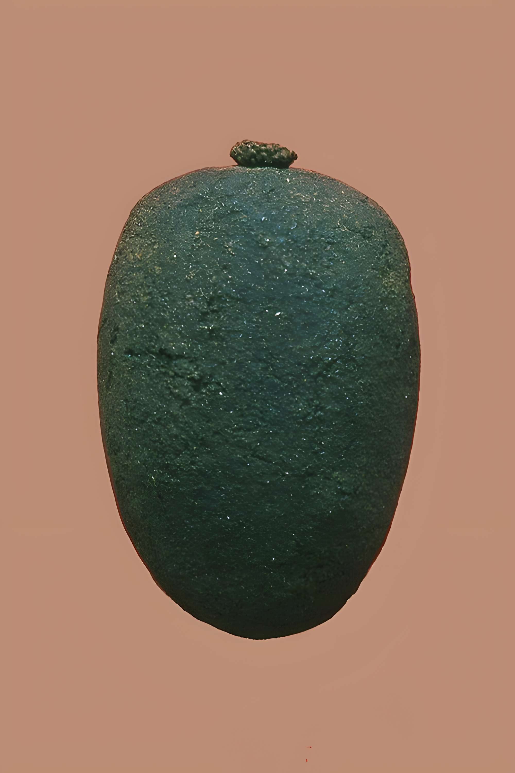 Musée de la Chartreuse de Molsheim