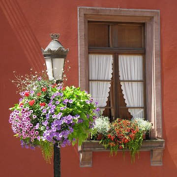 Musée alsacien dHaguenau