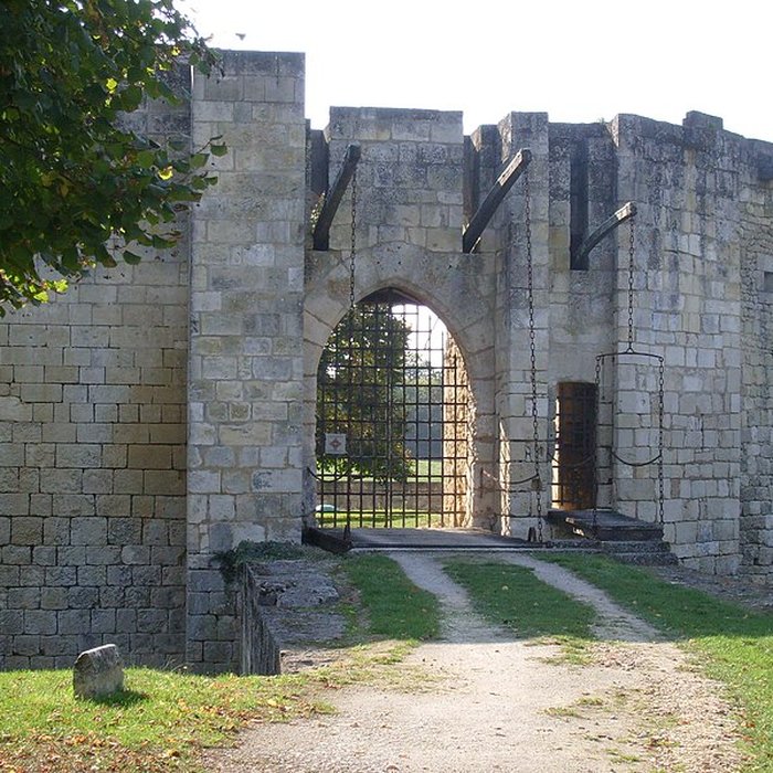Photo de Château de Nieul-les-Saintes