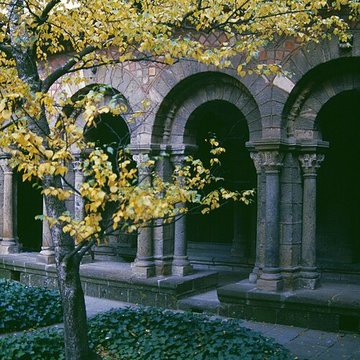 Cathédrale Notre-Dame-de-lAnnonciation du Puy En Velay 