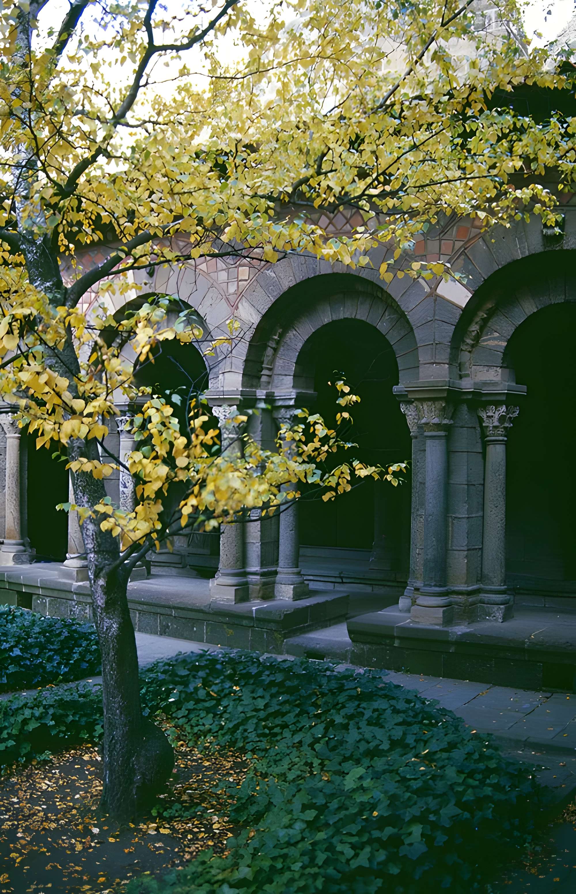 Cathédrale Notre-Dame-de-l'Annonciation du Puy En Velay 