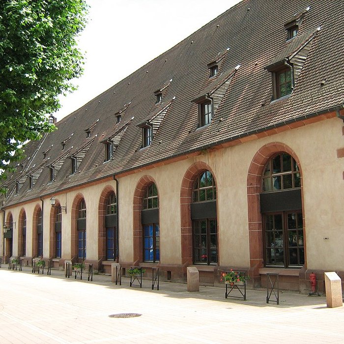 Photo de Musée du Pays de Hanau - histoire et vies d’un territoire