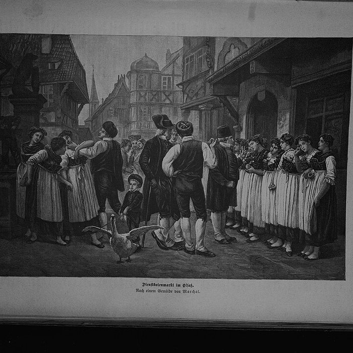 Photo de Musée du Pays de Hanau - histoire et vies d’un territoire