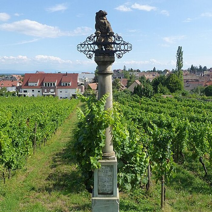 Photo de Musée Folie Marco à Barr