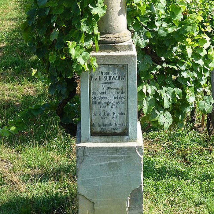 Photo de Musée Folie Marco à Barr