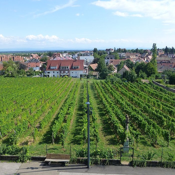 Photo de Musée Folie Marco à Barr