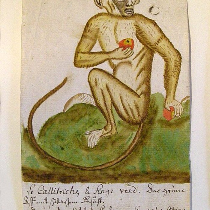 Photo de Musée Jean-Frédéric Oberlin à Waldersbach