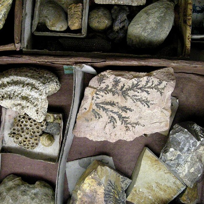 Photo de Musée Jean-Frédéric Oberlin à Waldersbach