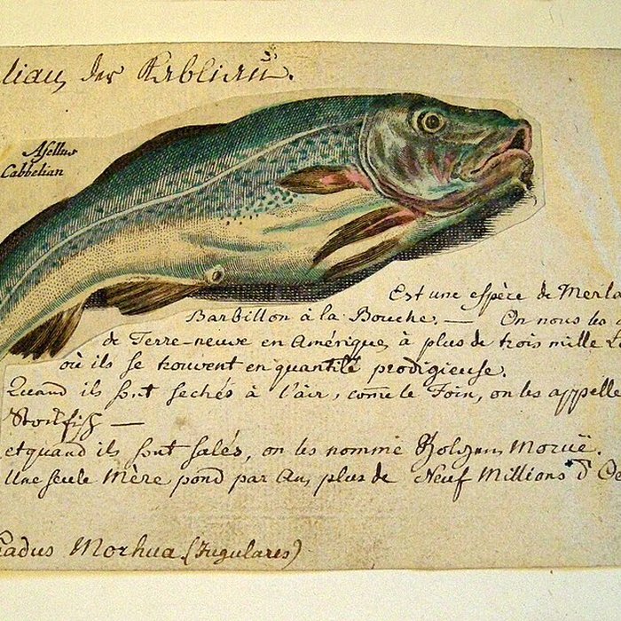 Photo de Musée Jean-Frédéric Oberlin à Waldersbach