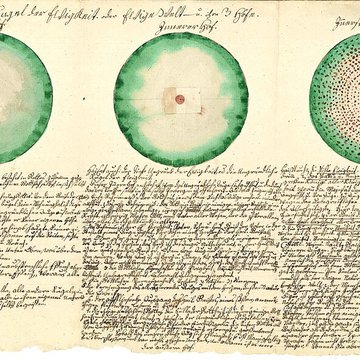 Musée Jean-Frédéric Oberlin à Waldersbach