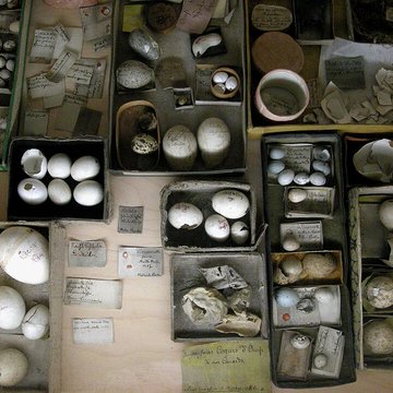 Musée Jean-Frédéric Oberlin à Waldersbach