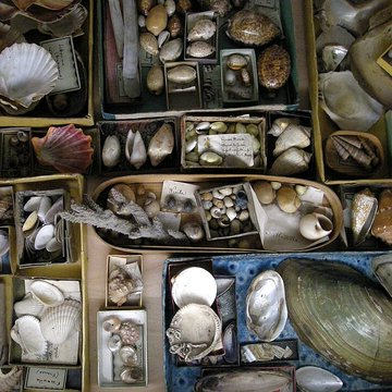 Musée Jean-Frédéric Oberlin à Waldersbach