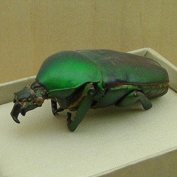 Musée Jean-Frédéric Oberlin à Waldersbach