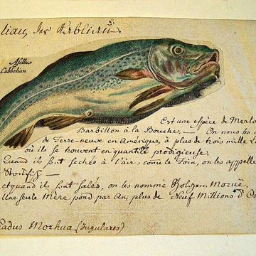 Musée Jean-Frédéric Oberlin à Waldersbach