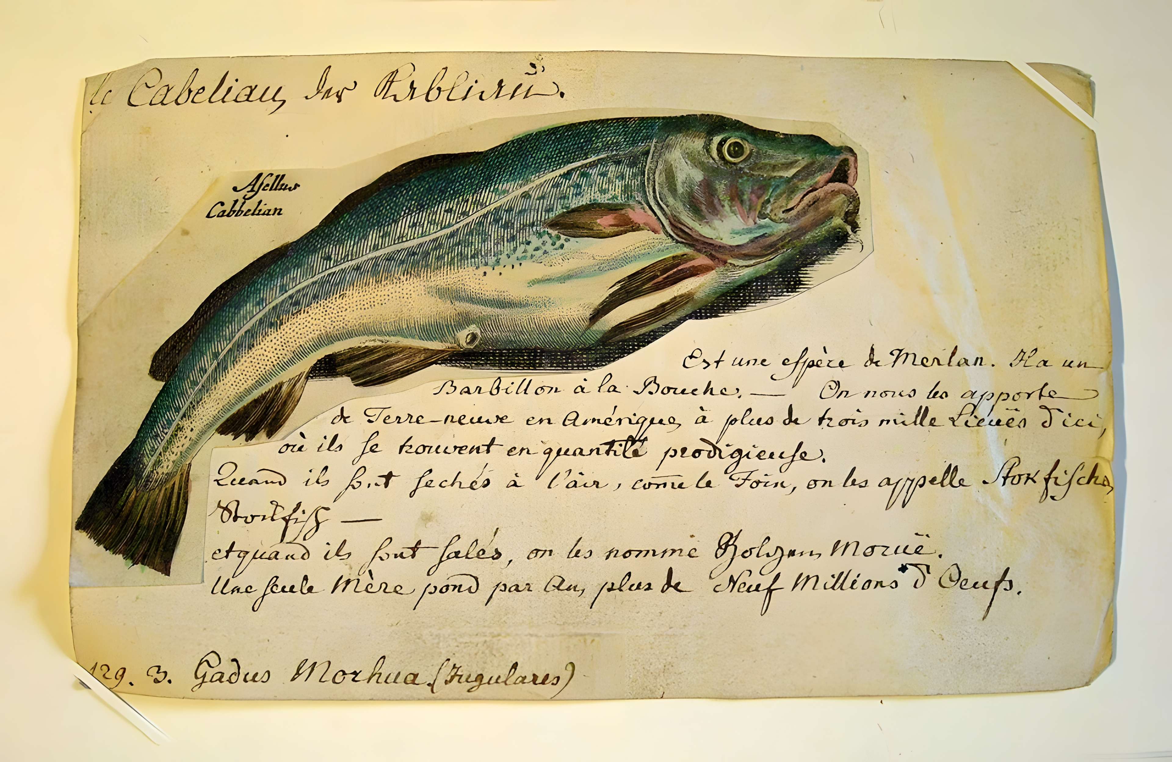 Musée Jean-Frédéric Oberlin à Waldersbach