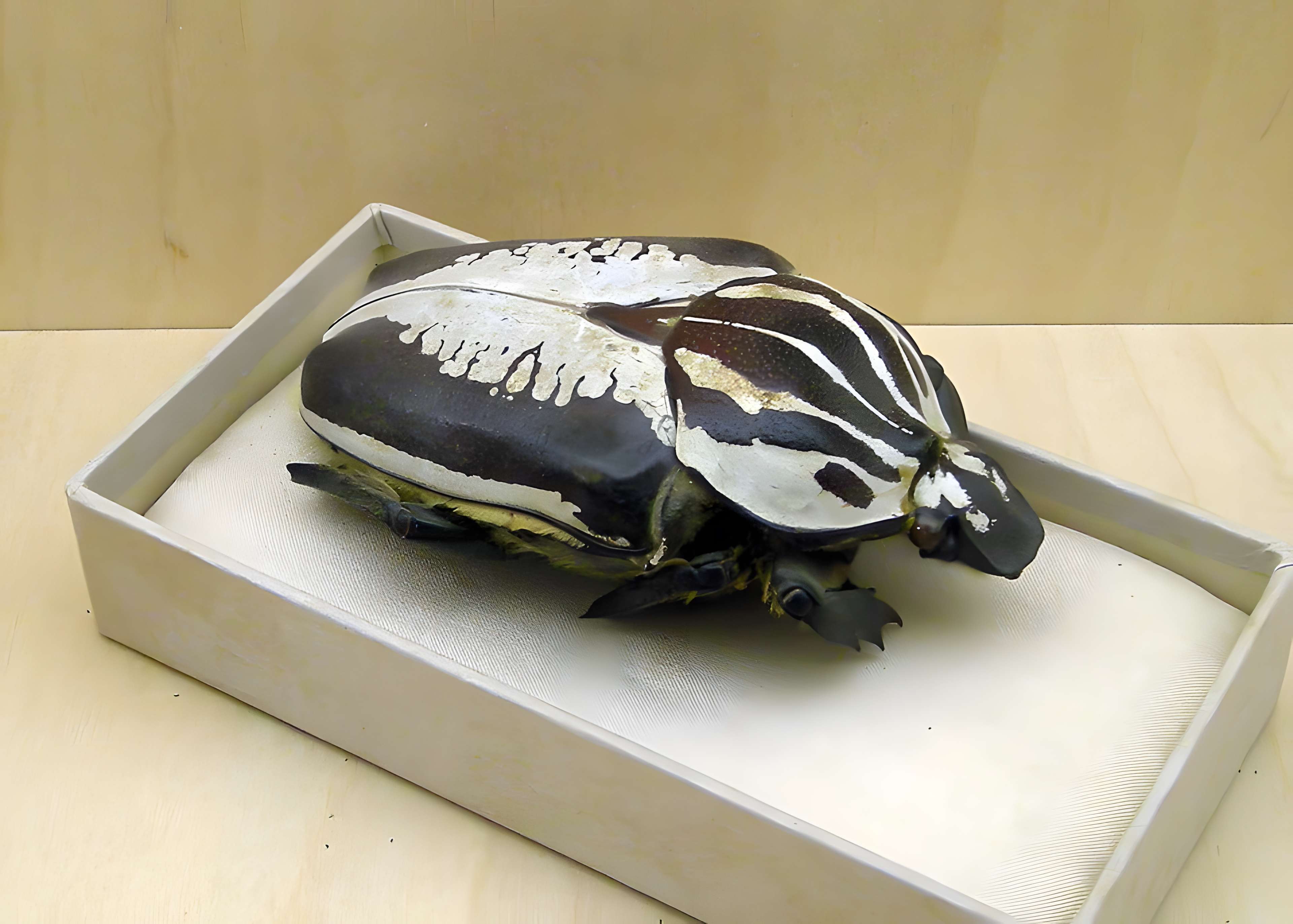 Musée Jean-Frédéric Oberlin à Waldersbach