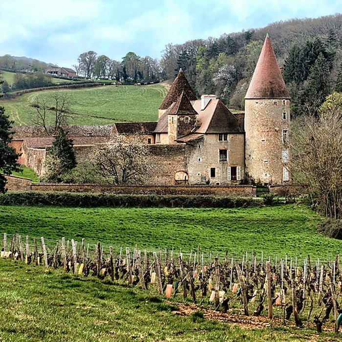 Photo de Château de Nobles