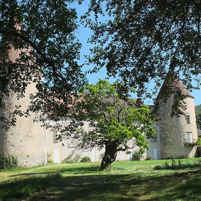 Photo de Château de Nobles