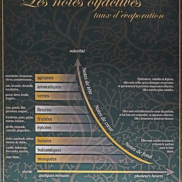 Photo de Musée Lalique à Wingen-sur-Moder