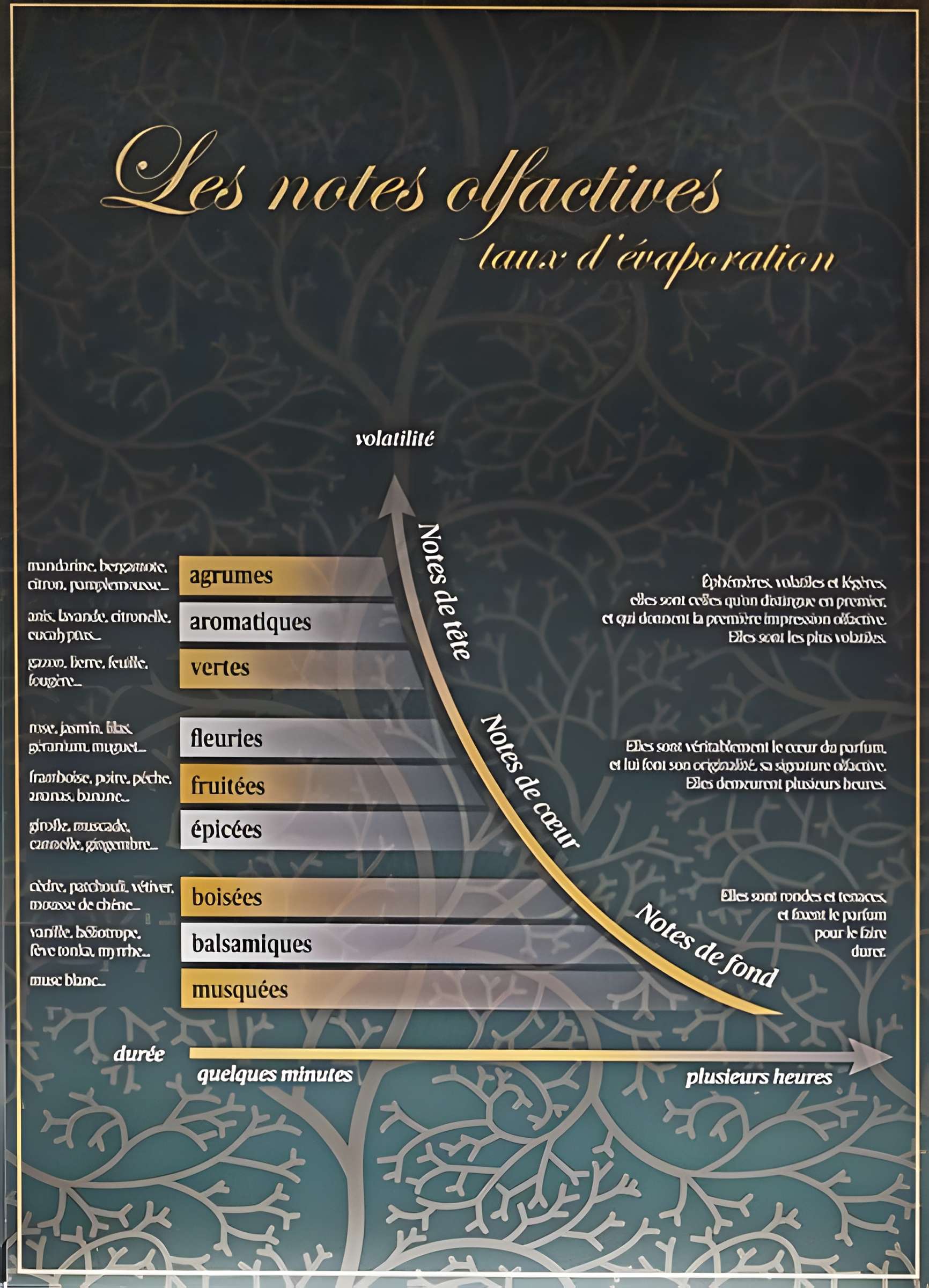 Musée Lalique à Wingen-sur-Moder