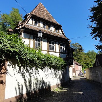 Musée Westercamp à Wissembourg