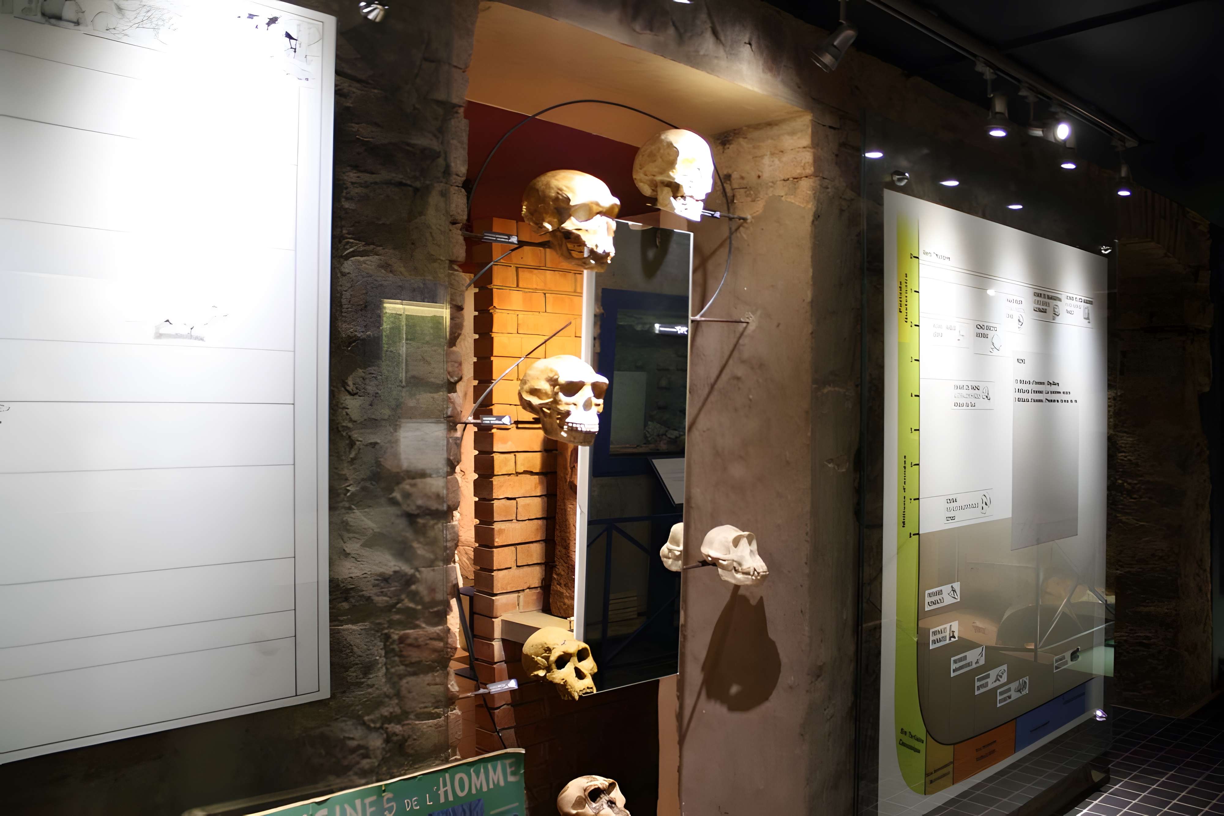 Maison de l'archéologie de Niederbronn-les-Bains intérieur du musée