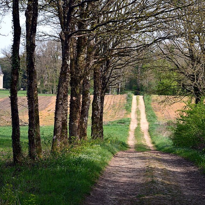 Photo de Château de Noironte