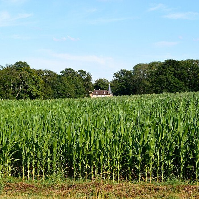 Photo de Château de Noironte