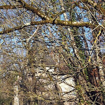 Château de Noironte