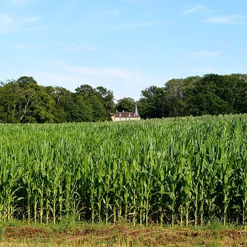 Château de Noironte