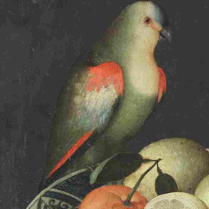 Photo de Musée des beaux-arts de Mulhouse